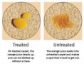 Teflon Advanced Carpet Protector